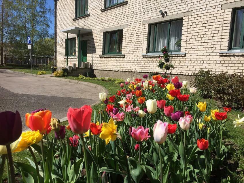 Stradnieku Viesnica Hostel Ventspils Buitenkant foto
